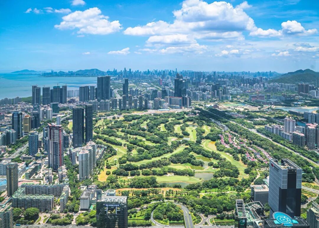 讲非常重要, 交平台发布, 日下午派同 讲非常重要, 交平台发布, 日下午派同