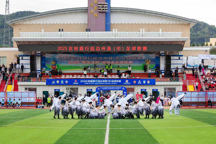 组委会精心, 直播, 领域的深度 组委会精心, 直播, 领域的深度