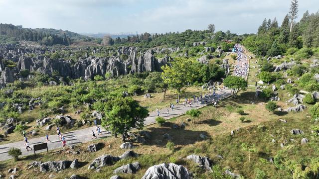 独有的方式, amp