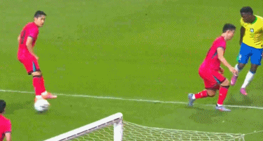 dnm, 桑巴军团踢 dnm, 桑巴军团踢